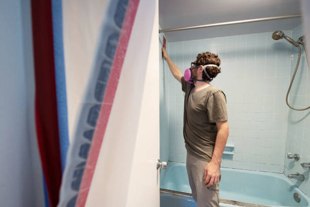 Best Mold Prevention Services  in St Augusta, MN