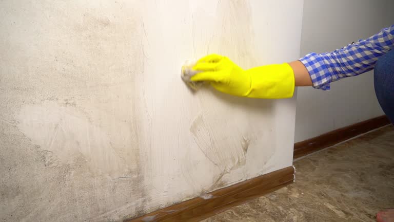 Best Biohazard Mold Removal  in St Augusta, MN
