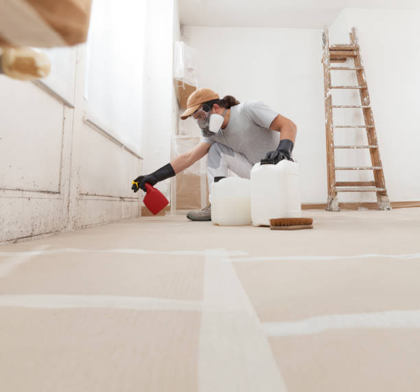 Best Residential Mold Inspection & Testing  in St Augusta, MN