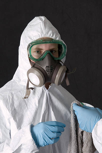 Best Commercial Mold Inspection  in St Augusta, MN